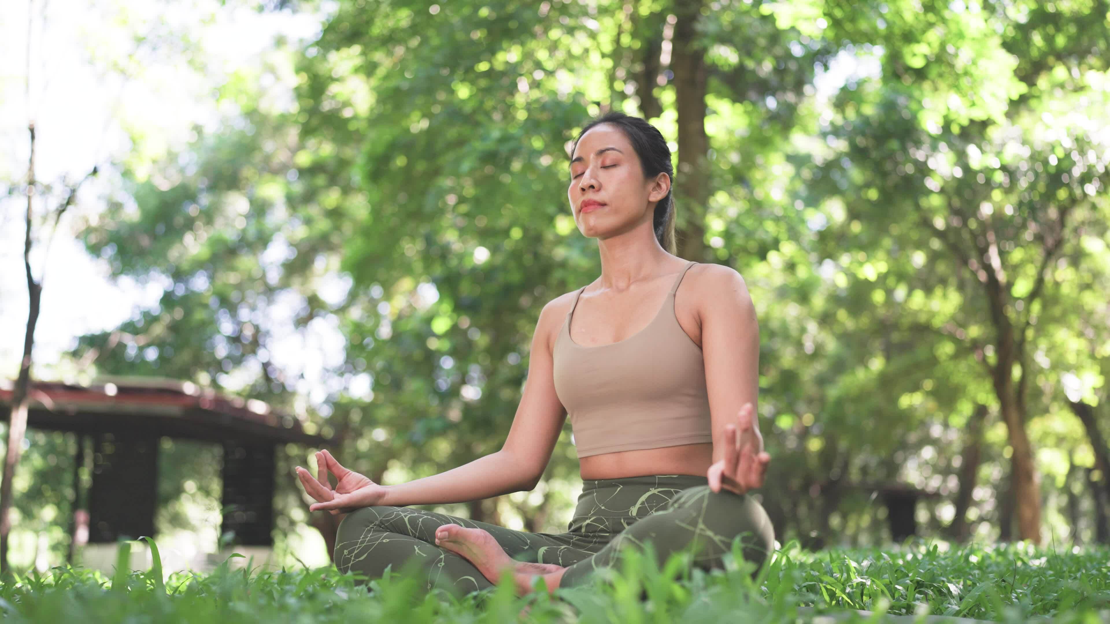 Peaceful forest meditation space